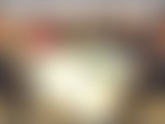 The Mayor’s Charity Gala a success