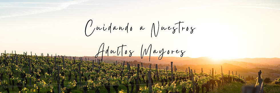 Caring For Our Seniors (1500 x 500 px) (5).png