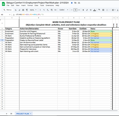 goole she data entry.png