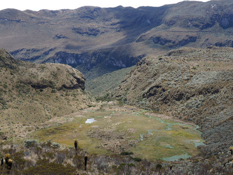 Peatlands and Climate Mitigation in Colombia | Carbon Storage & Risk