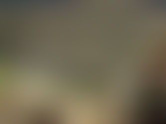 Peatlands in Colombia’s páramos