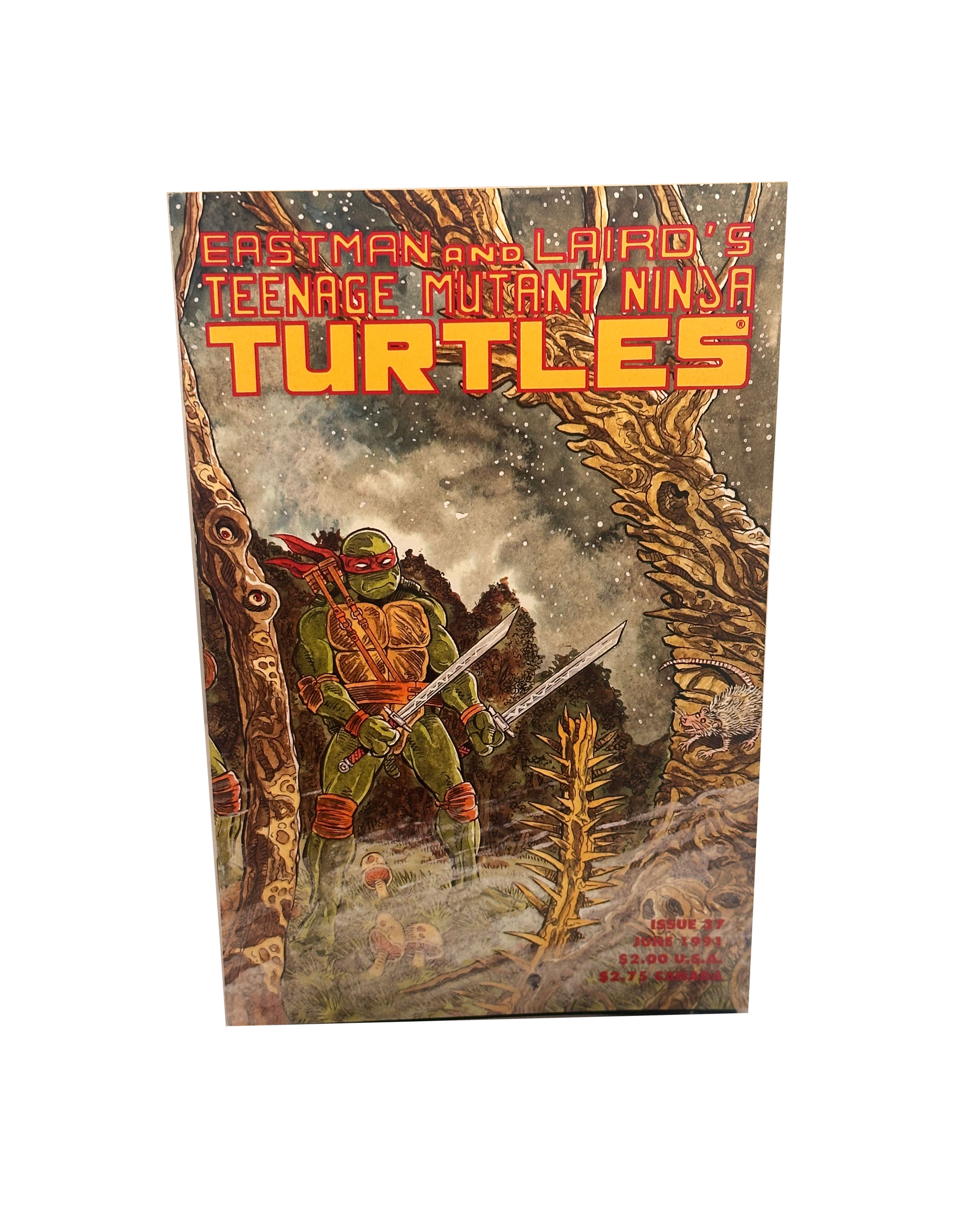 Teenage Mutant Ninja Turtles #37 June