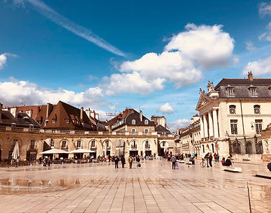 dijon.jpeg