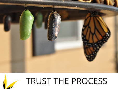 Trust the process