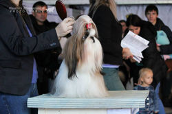 1798031_603258473133226_4518191064496138825_n (2).jpg