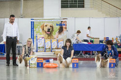 15.06.14 г.Тюмень ПК R.BISS !!!