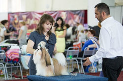 15.06.14 г.Тюмень ПК R.BISS !!!