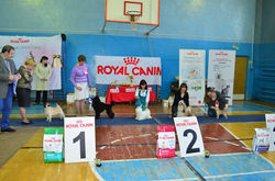 Торти 28.04.2014