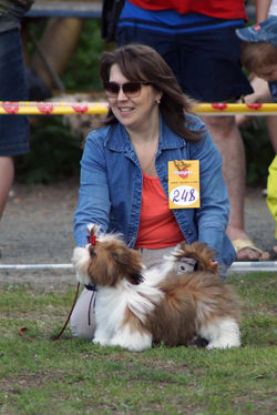 Патрик 01.06.2014