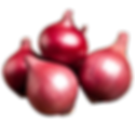 Red Onion | Salave International Export Pvt Ltd