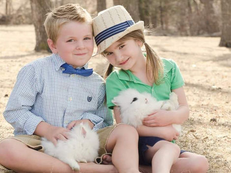 More than a pet, a company to share new memories.