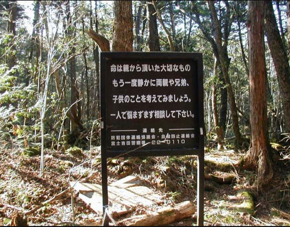 10 japan's suicide forest