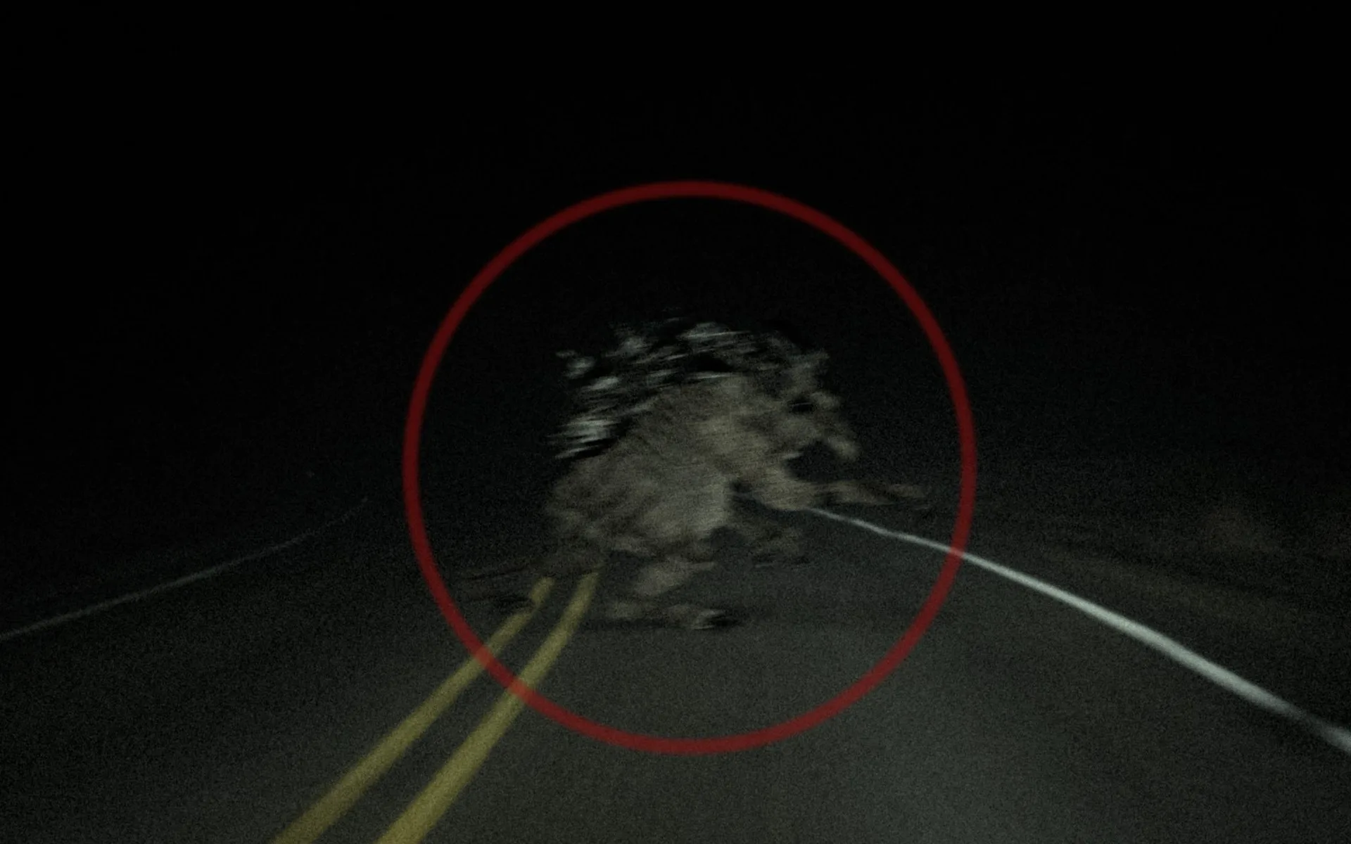 Pukwudgie sighting