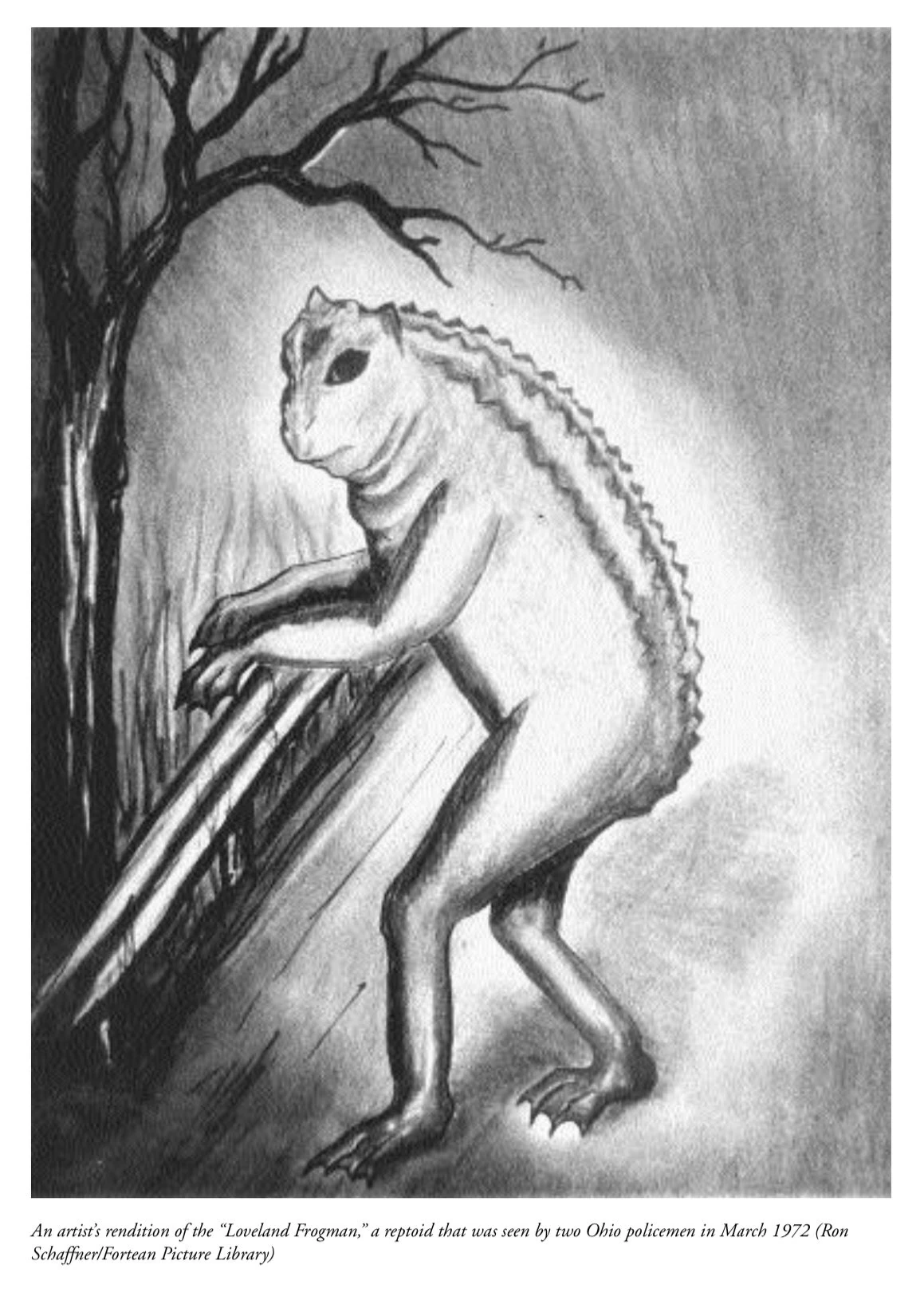 Loveland Frogman Sketch from sighting