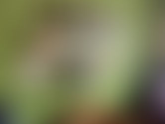 Dwell in The Shelter of The Most High