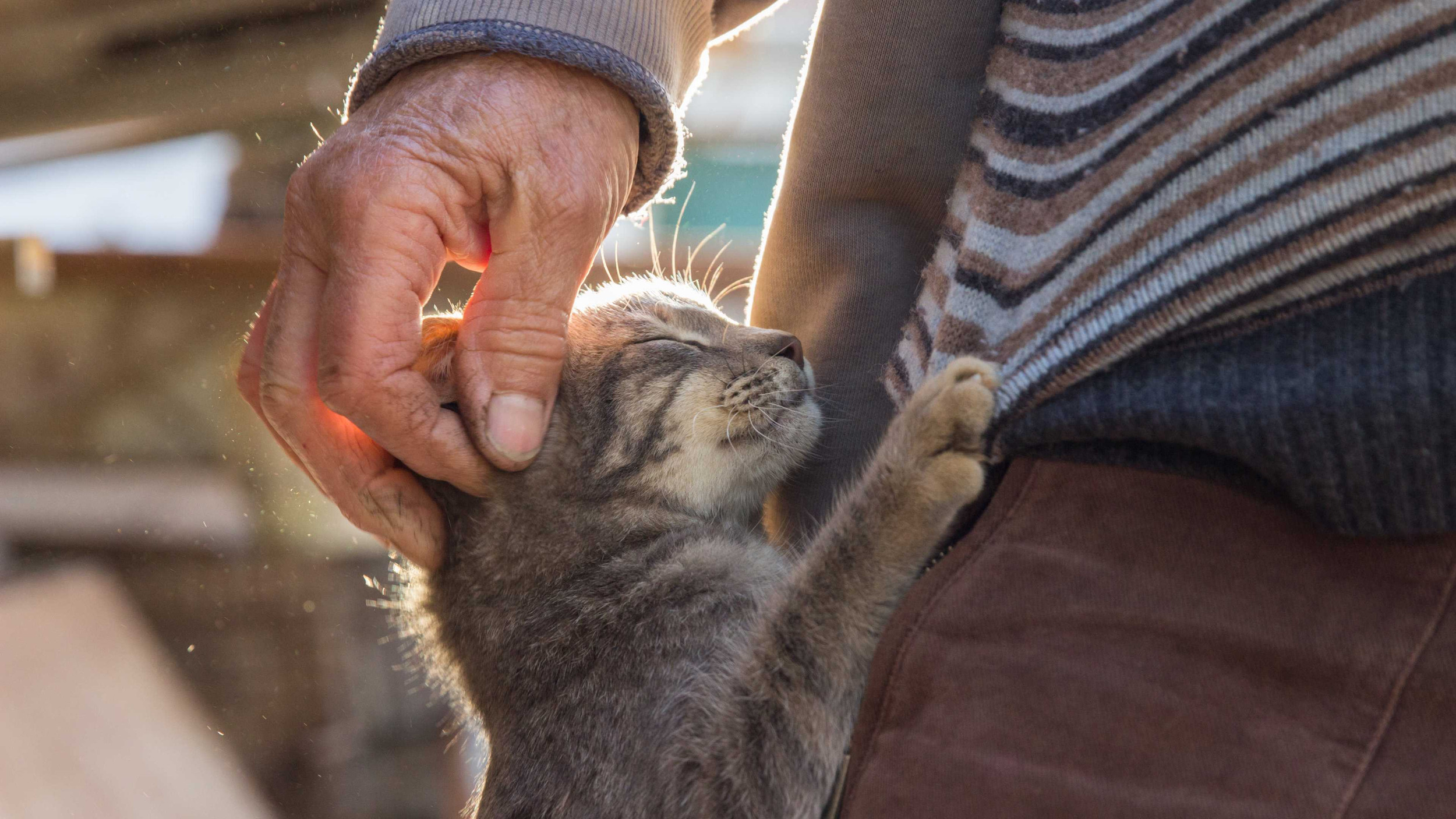 The difference between loneliness and isolation Marmalade Trust