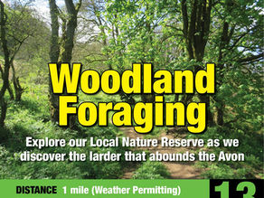 Storytime and craft session, plus a foraging woodland walk