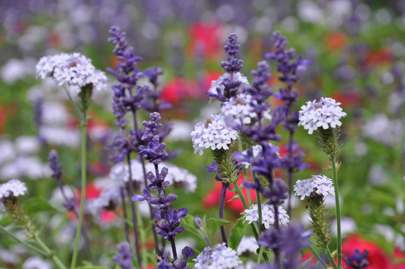 seattle 2012 - 166.jpg