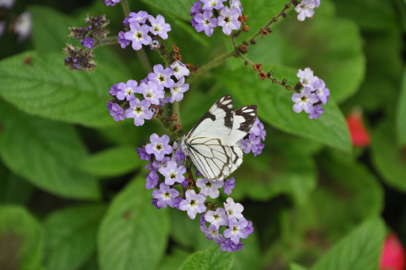 seattle 2012 - 158.jpg