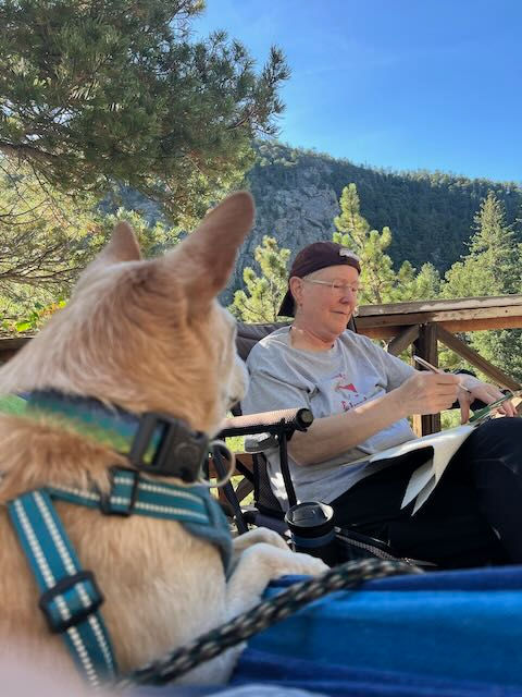Dog in foreground watches a person writing in a chair on a mountain deck, with green trees and rocky cliffs under blue sky.