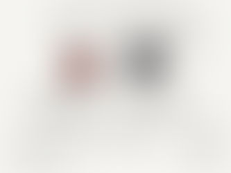 dogs with football helmets