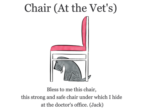 Dog under a chair