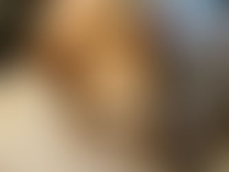 Brown dog lying on a quilted bed, head resting on a gray pillow with blue embroidery. The dog looks calm and relaxed.