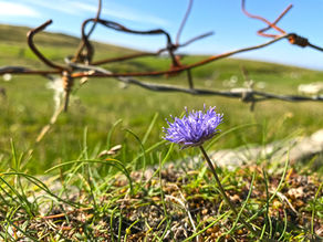 For Those Who Are Afraid