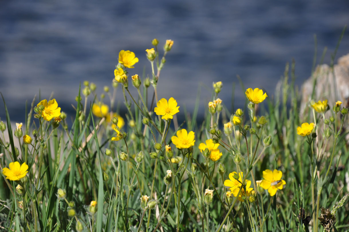 colorado 2012 - 151.jpg