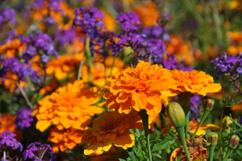 seattle 2012 - 123.jpg