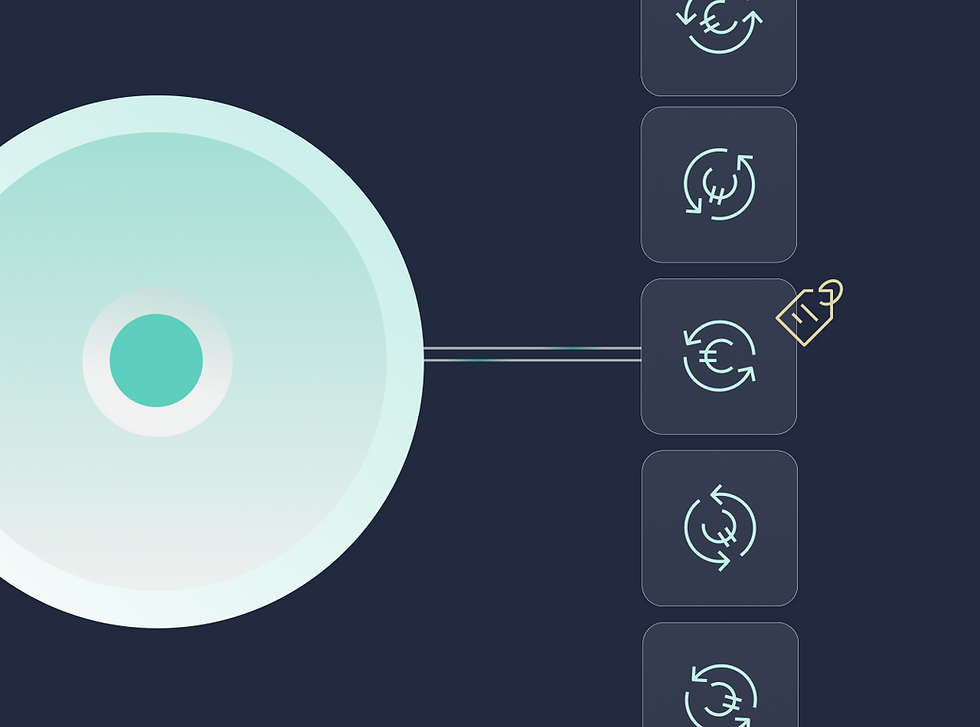 Visual showing API investment