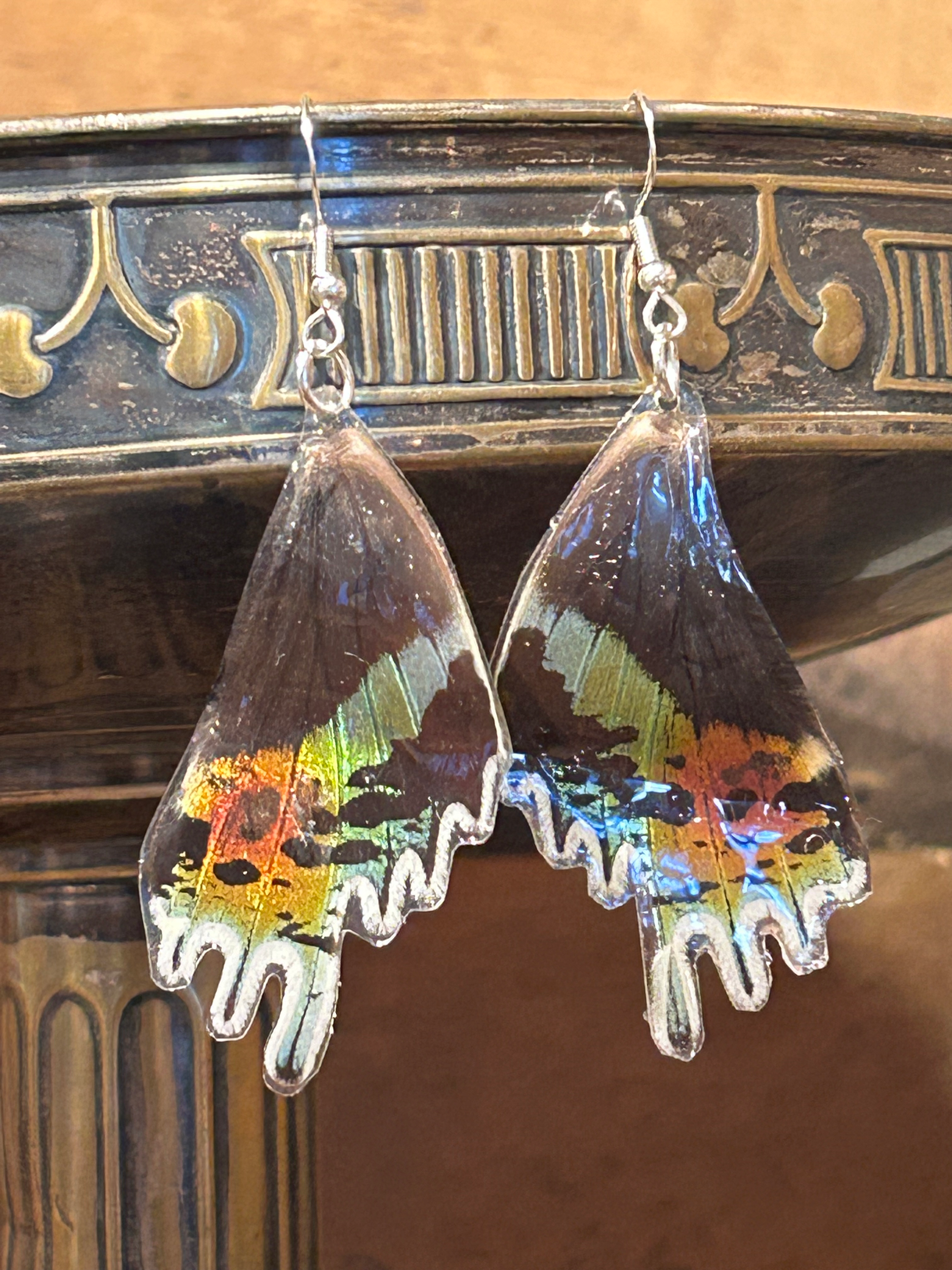 Genuine Butterfly Wing Earrings