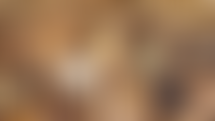 Grains, seeds and cereals: what's the difference?