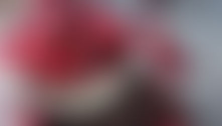 Cranberry: what fruit is this?