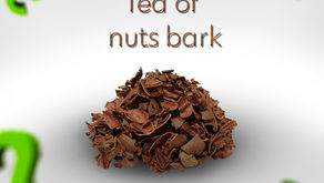 Nutshell tea: check out its benefits!