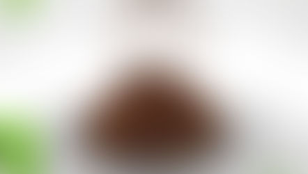 Nutshell tea: check out its benefits!