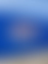 NLCS and now WORLD CHAMPIONS!