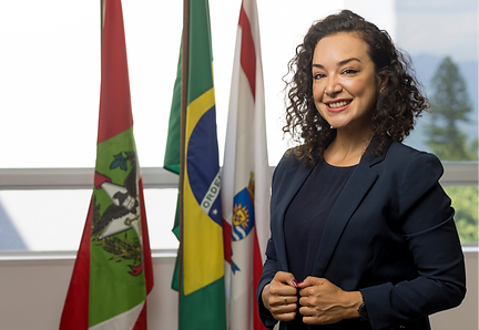 trajetoria-2024png.png