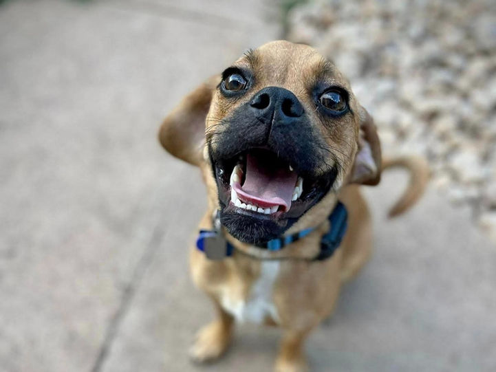 OMG! I had sooo much fun!