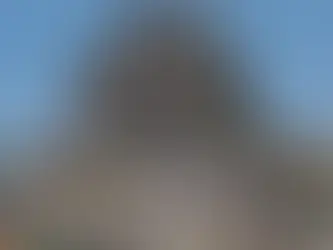 Bulldozer pushing rubbish at a landfill