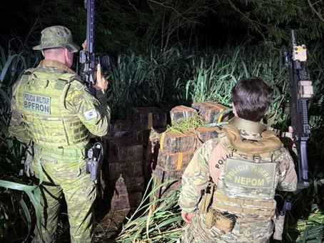 PF e BPFRON apreendem 1.272 kg de maconha em Terra Roxa