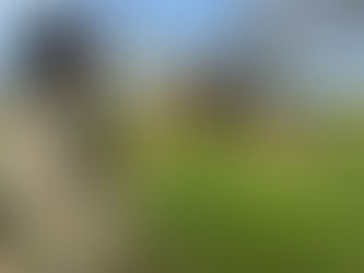 PF deflagra a Operação Andyrá em combate a crimes ambientais em Rondônia