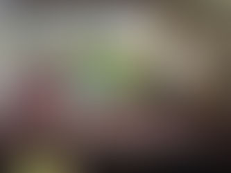 Operação integrada entre PF, PC e PM apreende uma tonelada de drogas em São Miguel do Iguaçu/PR