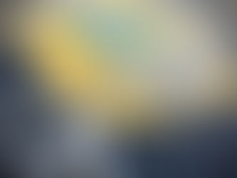 RF apreende 310 kg de Maconha após veículo fugir de abordagem na BR 262 em Betim (MG)