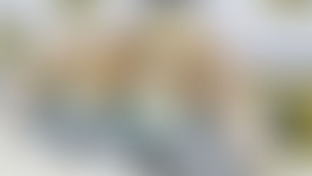 PF prende suspeitos por lavagem de dinheiro em Roraima