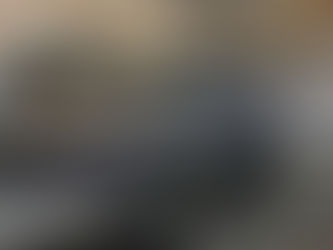 PF deflagra operação contra o tráfico internacional de animais silvestres