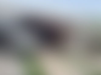 Polícia Federal cumpre mandados judiciais em investigação que apura fraudes no INSS