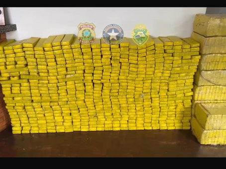 PF apreende 627 kg de maconha no Paraná