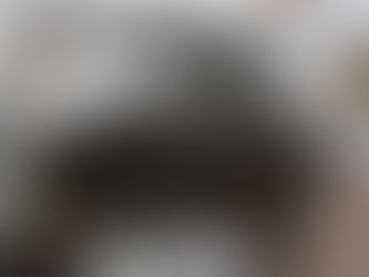 Polícia Federal inicia a Operação Parintins 2025