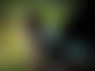 PF e PM/PR apreendem embarcação com fardos de maconha no Rio Paraná